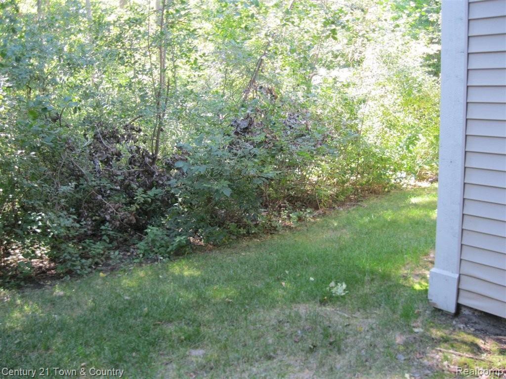 1516 Porter Circle, Unit 208 Rochester, MI 48307 - Photo 3 of 22 PorterBack.JPG