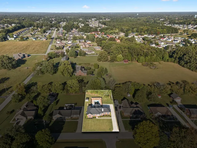 a view of a yard with large trees