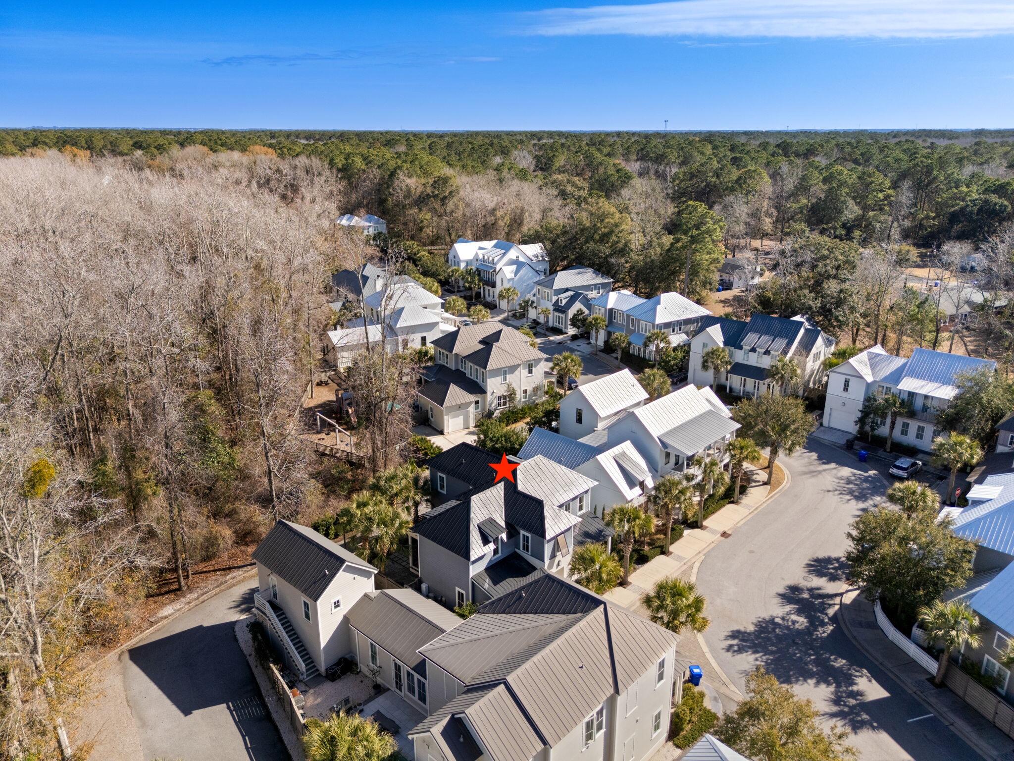 1124 Fulton Hall Lane Mount Pleasant, SC 29466 - Photo 47 of 47 Aerial