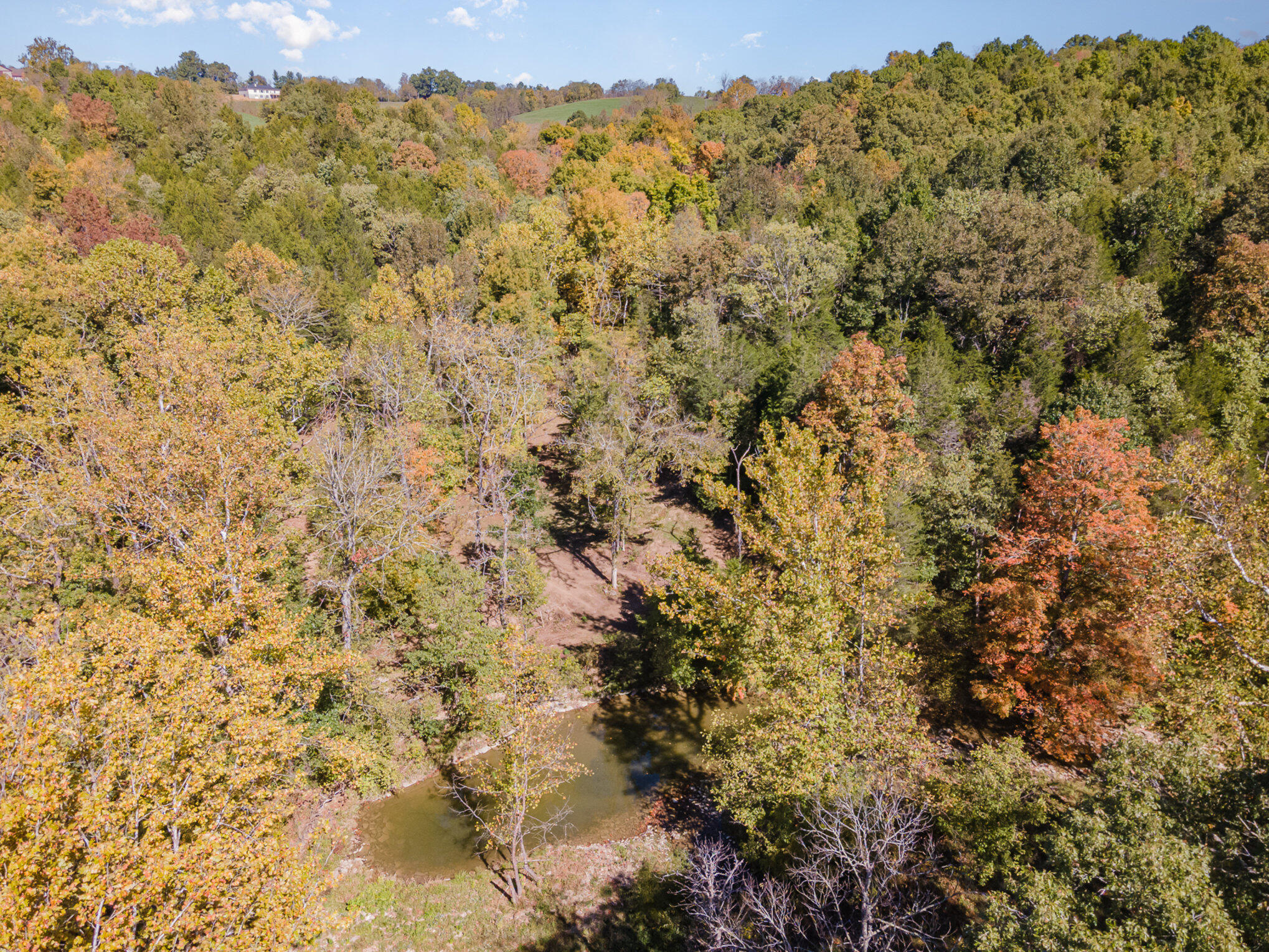 3910 Taft Highway Dry Ridge, KY 41035 - Photo 45 of 50