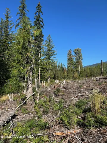 $168,500 | 7-2294 Nka Tract Clark Fork, Clark Fork, ID 83811