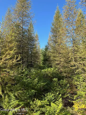 $168,500 | 7-2294 Nka Tract Clark Fork, Clark Fork, ID 83811