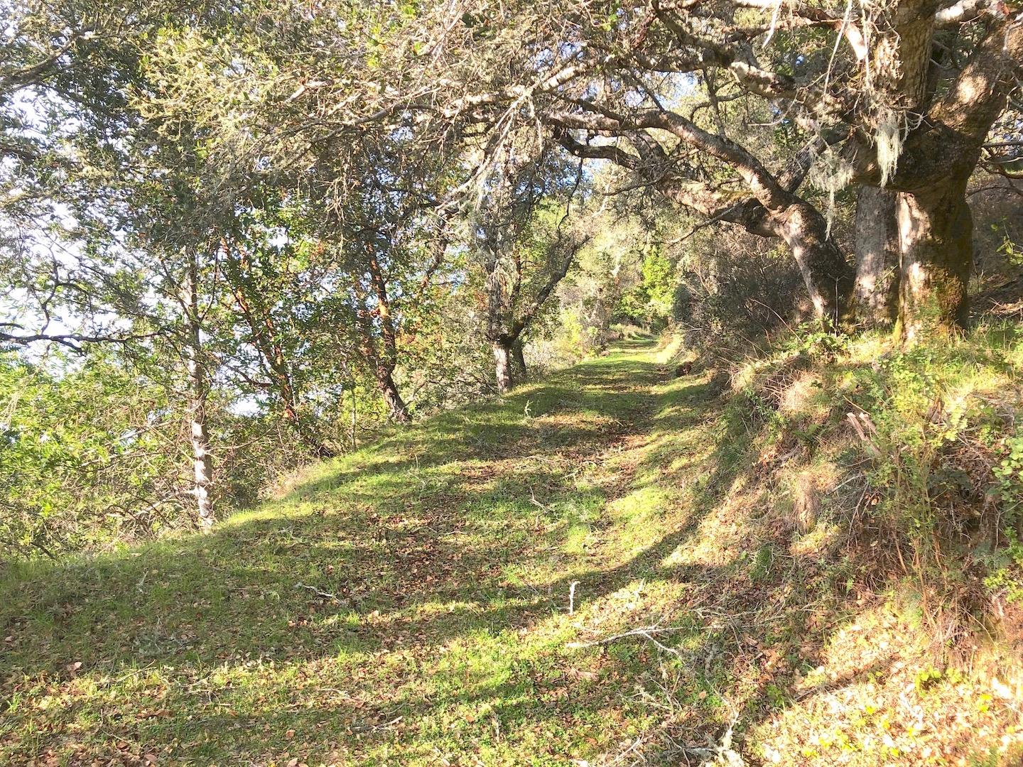 0 Nelson Road Scotts Valley, CA 95066 - Photo 4 of 4 Gallery Image 4