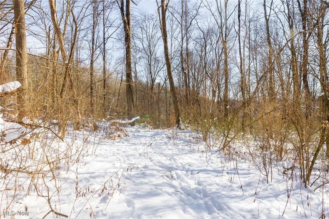138 Township Road Coshocton, OH 43812 - Photo 24 of 47 View of snowy yard