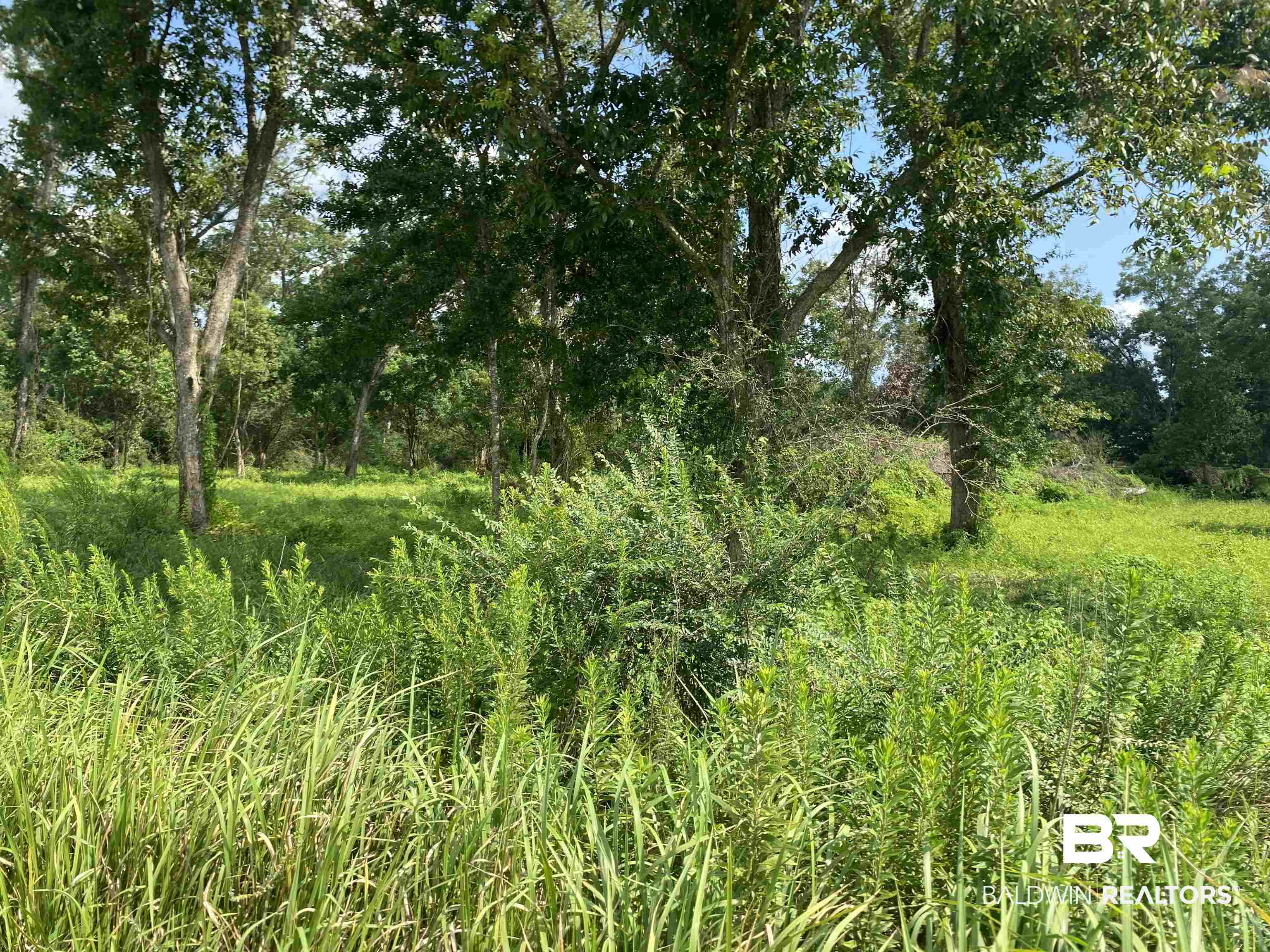 16827 Engel Lane Foley, AL 36535 - Photo 1 of 10 View from Engel Ln SW corner
