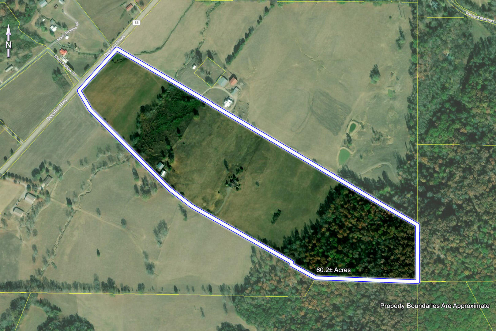 4509 Decatur Highway Ten Mile, TN 37880 - Photo 40 of 40 40_DecaturHighway_4509_SatellitePlat