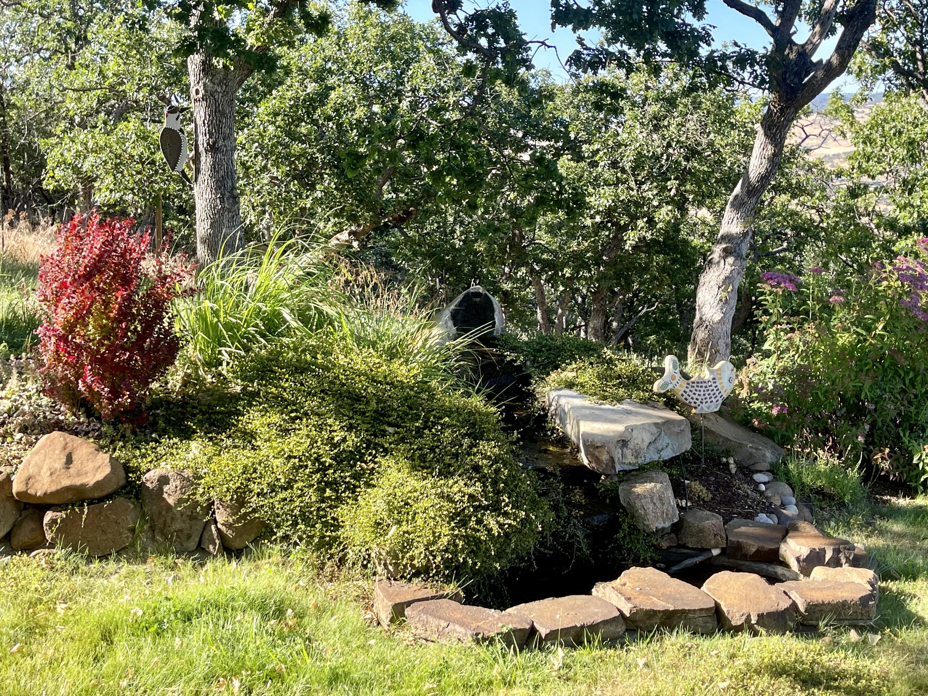 1275 Neil Creek Road Ashland, OR 97520 - Photo 33 of 52 Yard