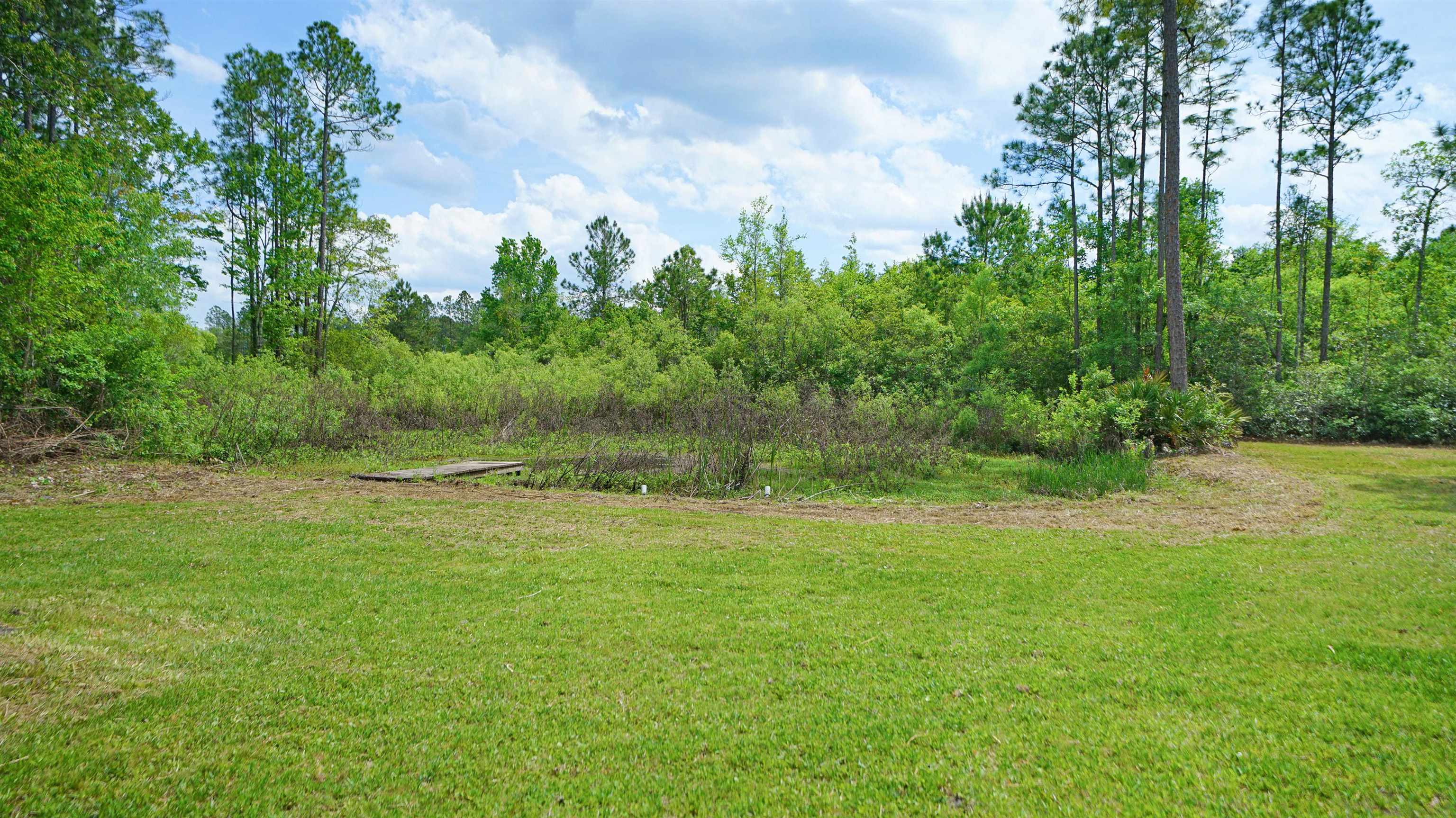 117 Jack Road Palatka, FL 32177 - Photo 28 of 34 a backyard of a house with lots of green space