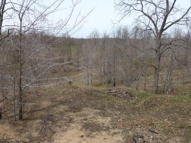 3036 North Pioneer Road Honor, MI 49640 - Photo 29 of 39 1784415-28.JPG