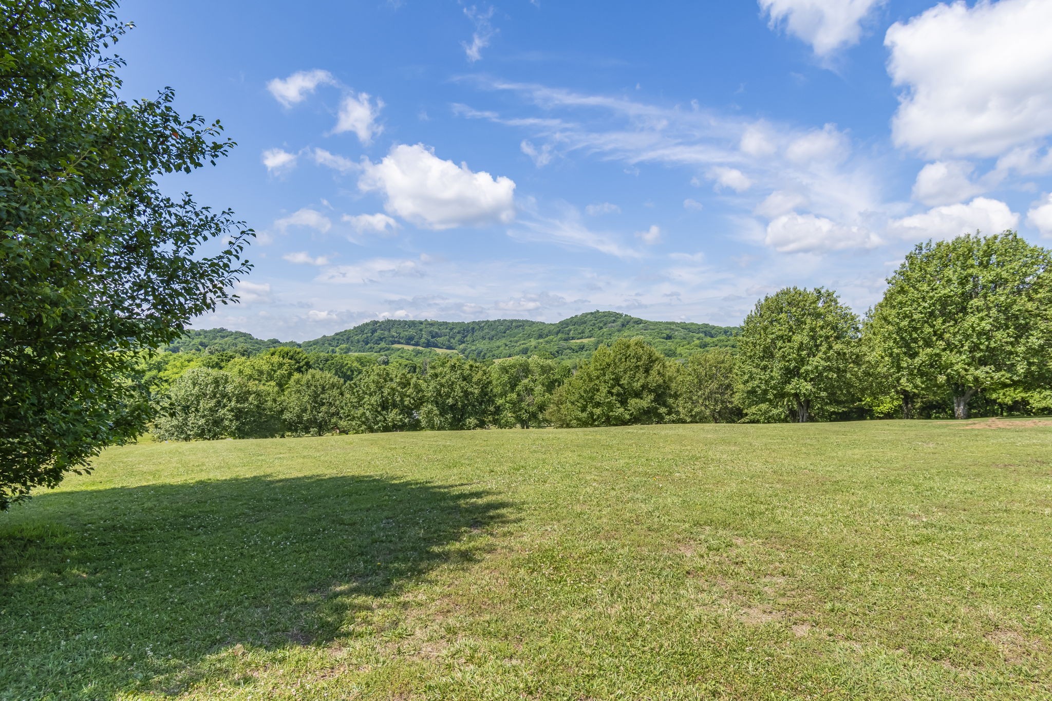 1979 Buck Daniels Road Culleoka, TN 38451 - Photo 58 of 61 a view of yard with green space