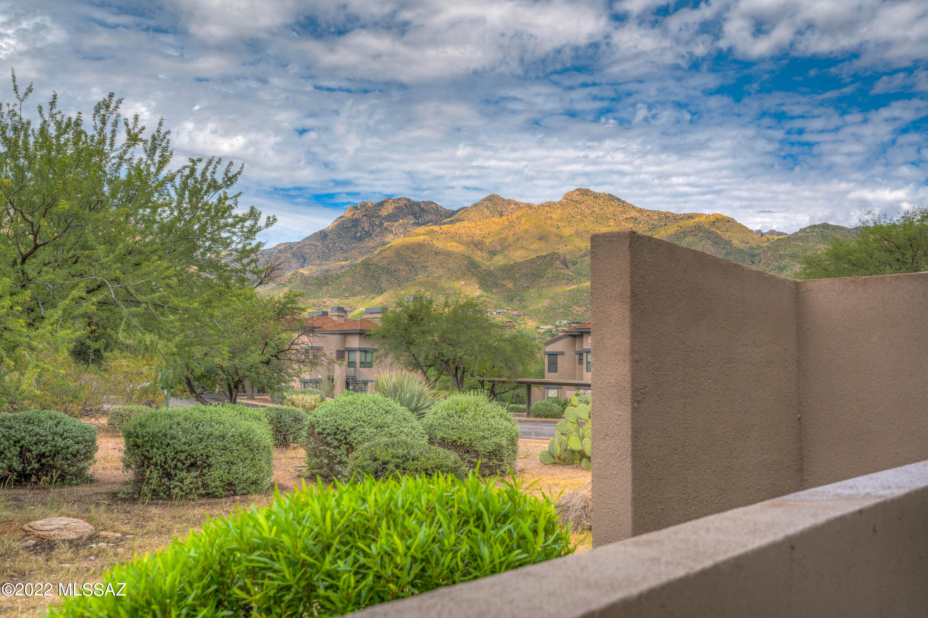 5800 North Kolb Road, Unit 10156 Tucson, AZ 85750 - Photo 14 of 33
