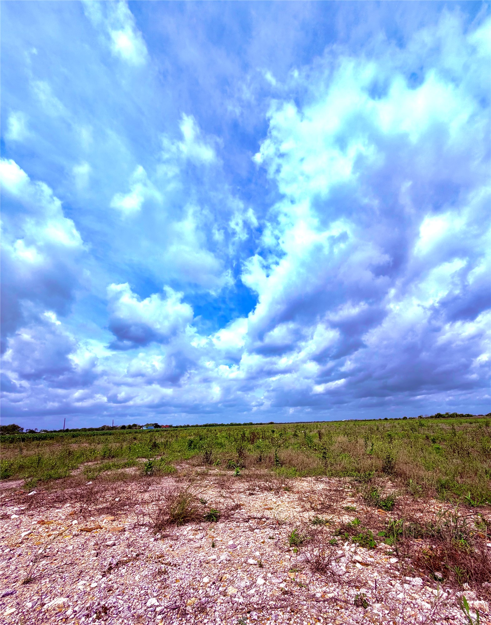4421 Polak Road Wallis, TX 77485 - Photo 3 of 9 The property features an expansive open field with green vegetation and a clear blue sky with clouds