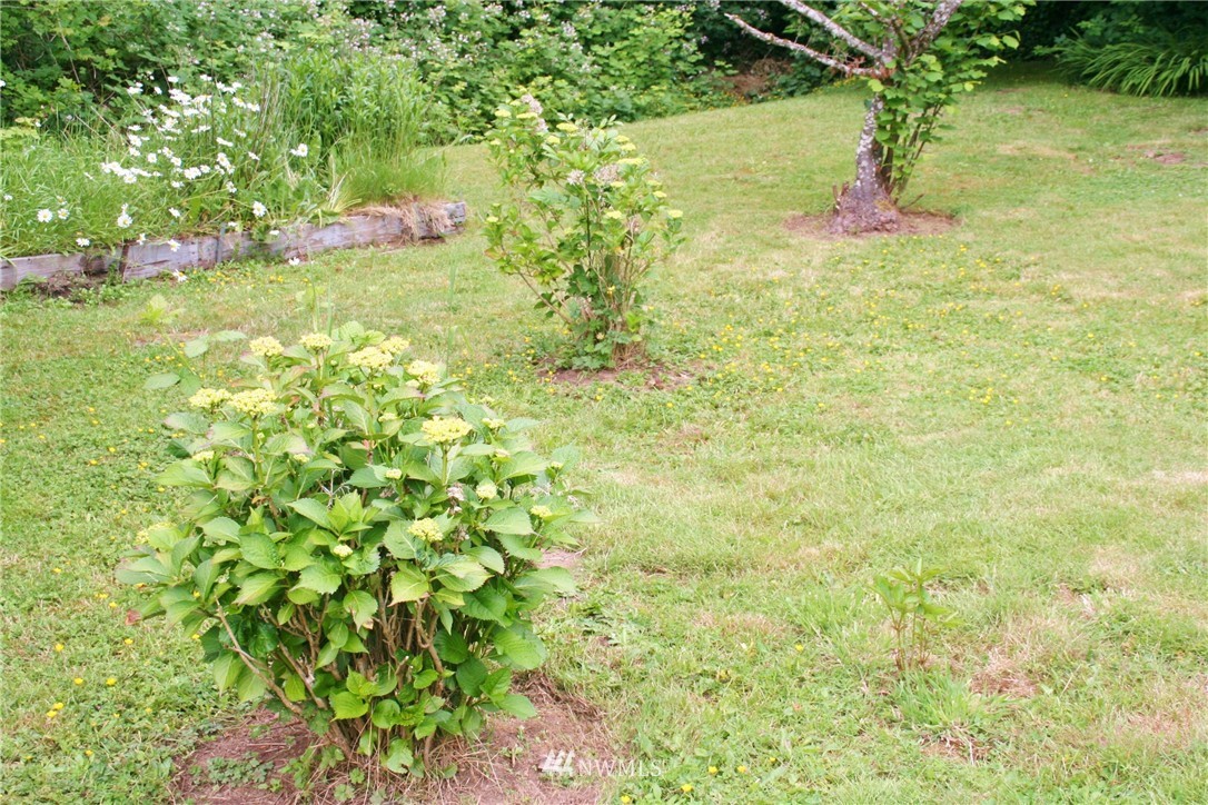 1717 Davis Avenue South Renton, WA 98055 - Photo 21 of 23 Gallery Image 21
