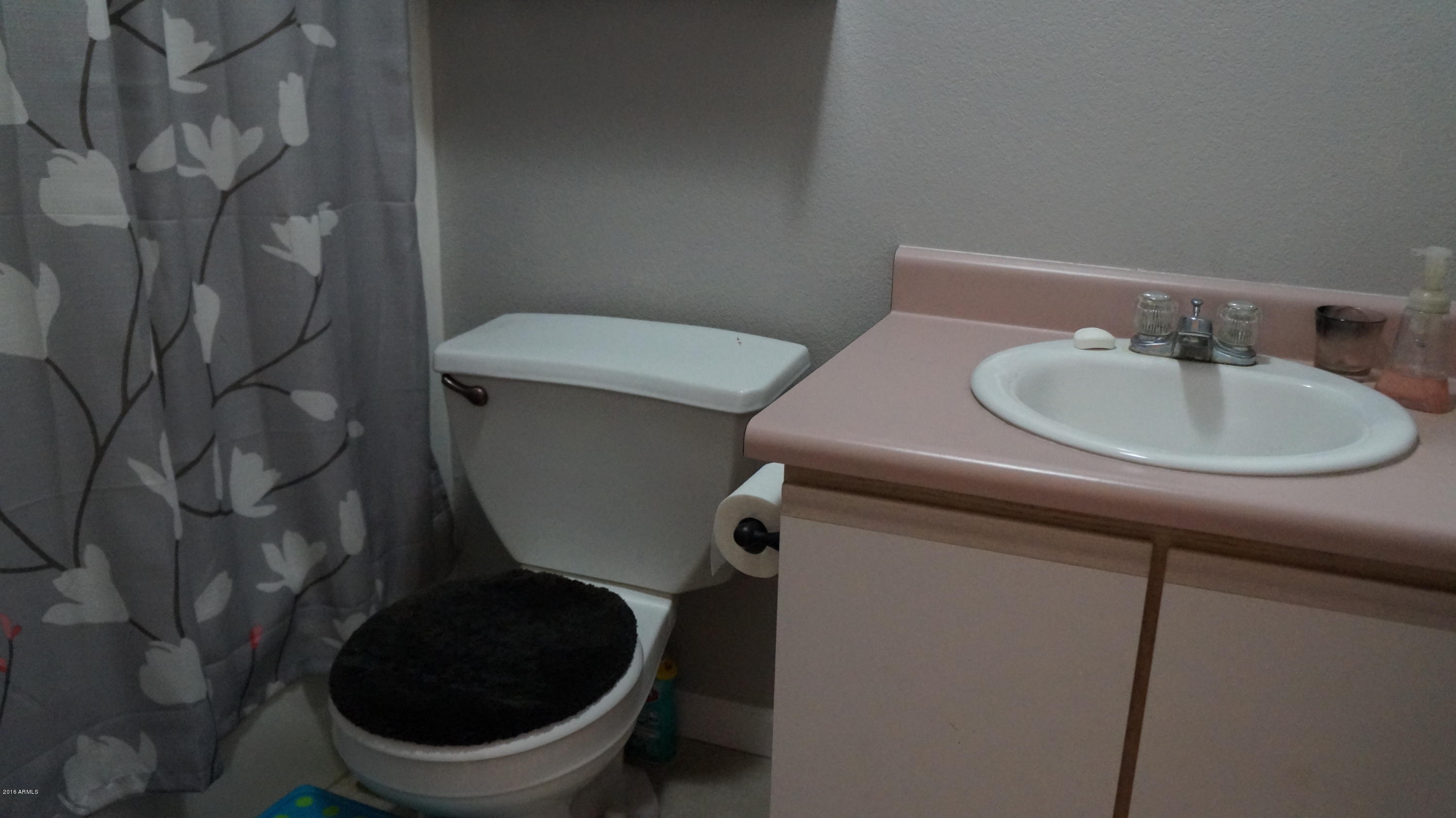 11801 West Bloomfield Road El Mirage, AZ 85335 - Photo 16 of 23 DSC09883
