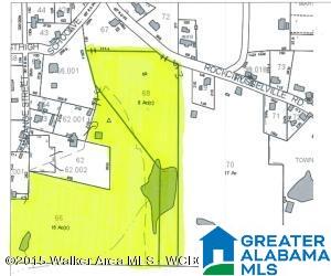 3601 Brookside Road Brilliant, AL 35548 - Photo 2 of 33