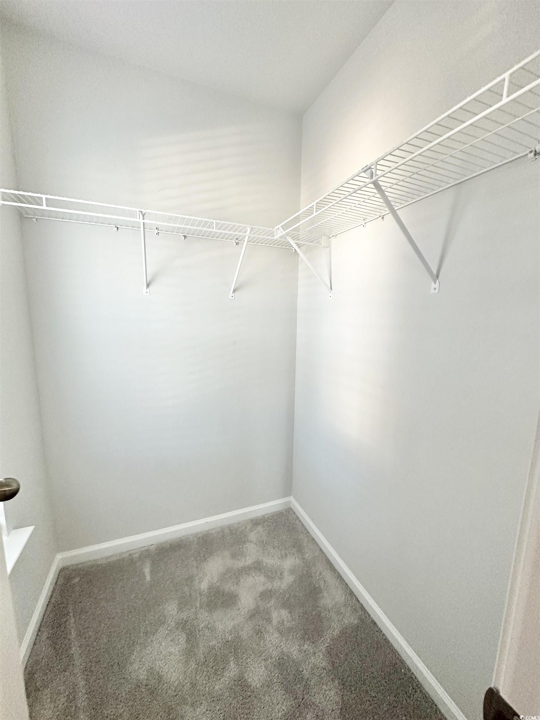 285 Augusta Grn Way Myrtle Beach, SC 29579 - Photo 13 of 28 Spacious closet with carpet flooring