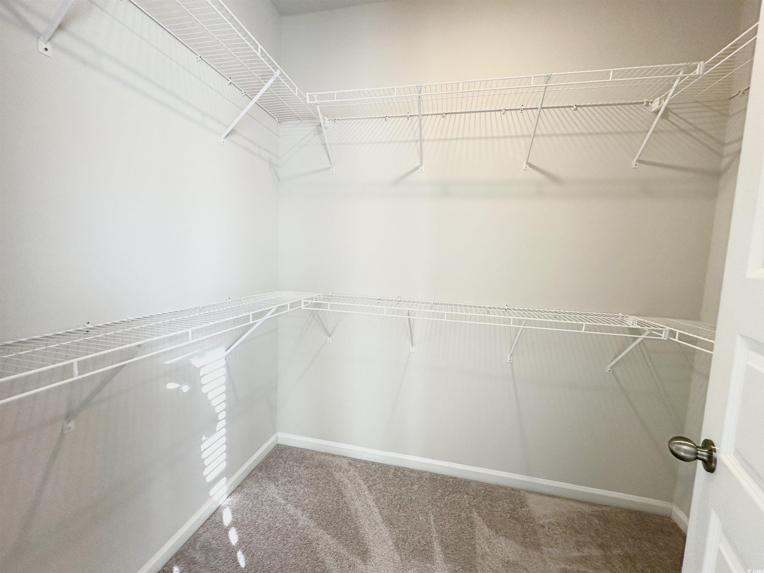 285 Augusta Grn Way Myrtle Beach, SC 29579 - Photo 19 of 28 Walk in closet with carpet flooring