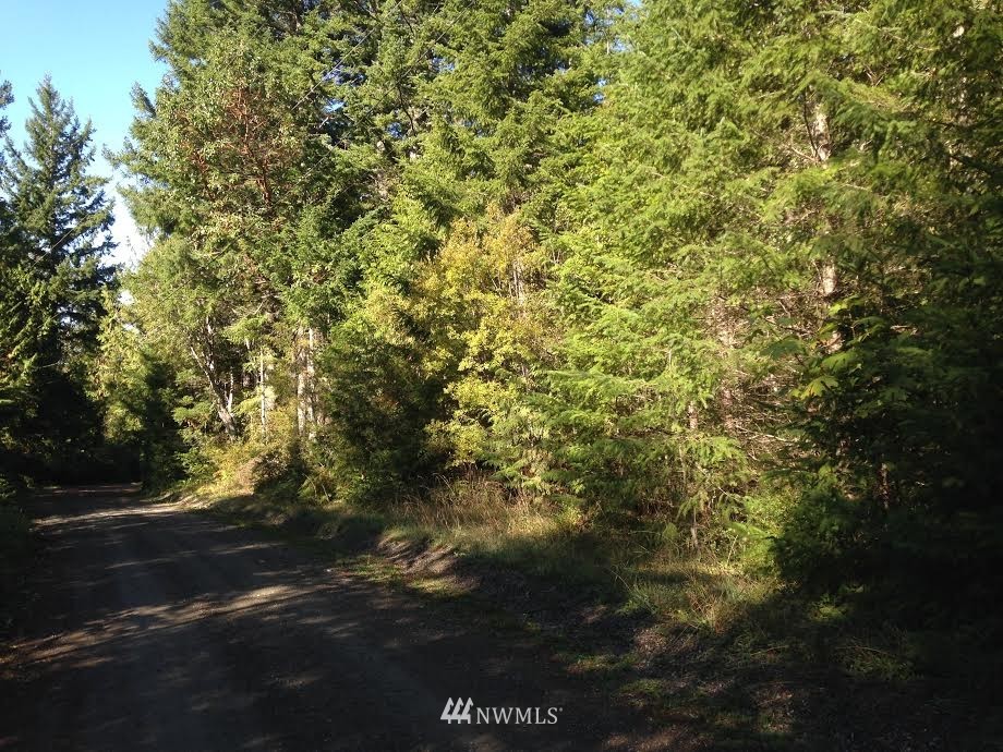1 Whitney Road Quilcene, WA 98376 - Photo 2 of 2 Gallery Image 2
