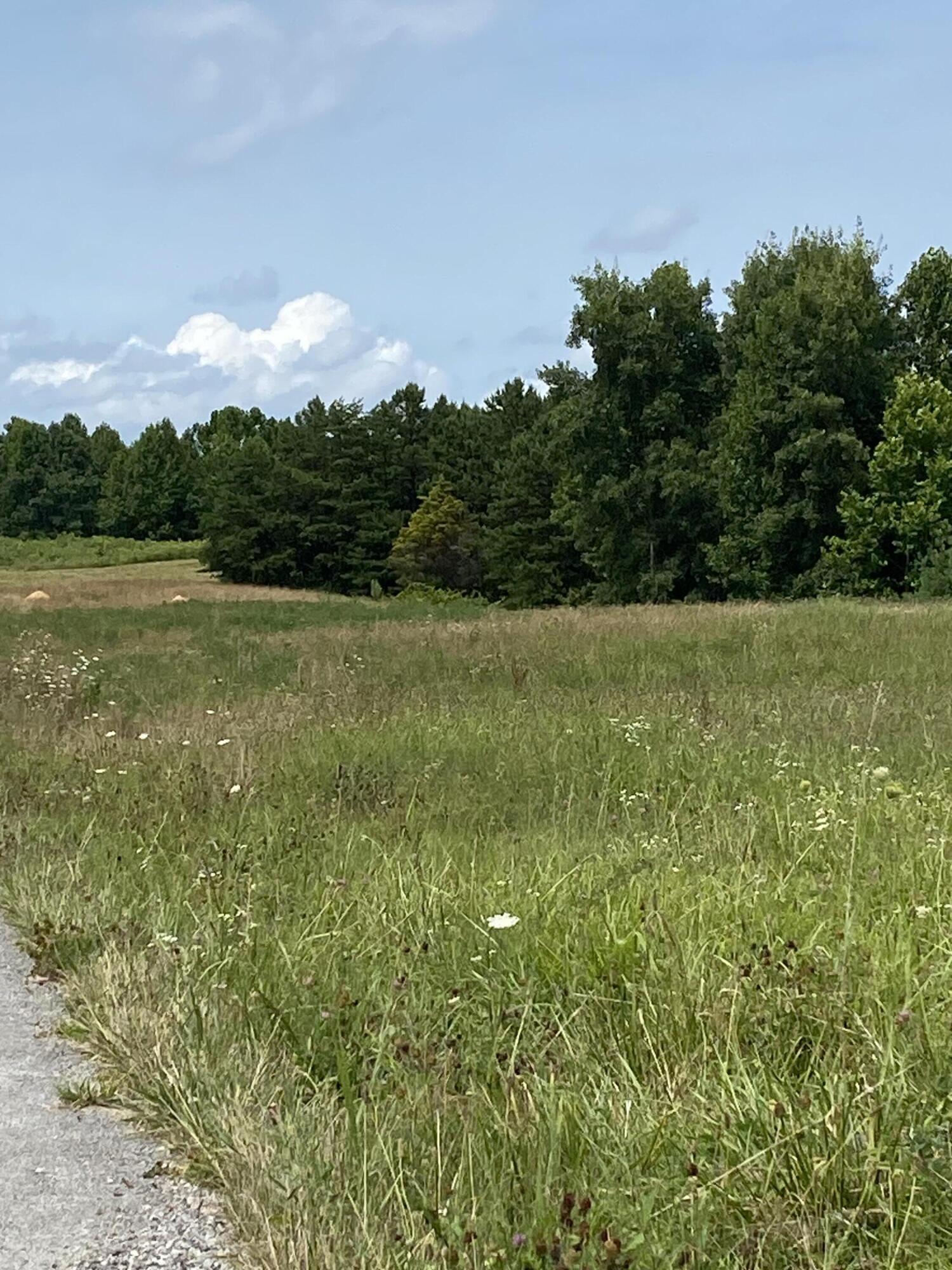 5 Adkins-Arthur Road Somerset, KY 42501 - Photo 6 of 11 IMG_0412