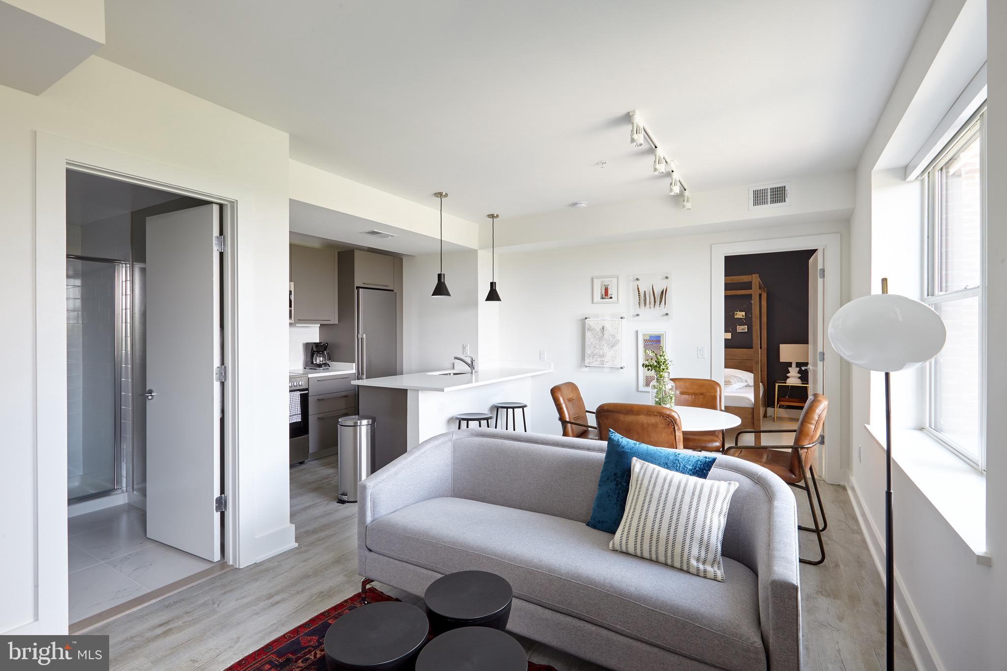 816 Potomac Avenue Southeast, Unit 202 Washington, DC 20003 - Photo 2 of 8 a living room with furniture and a chandelier