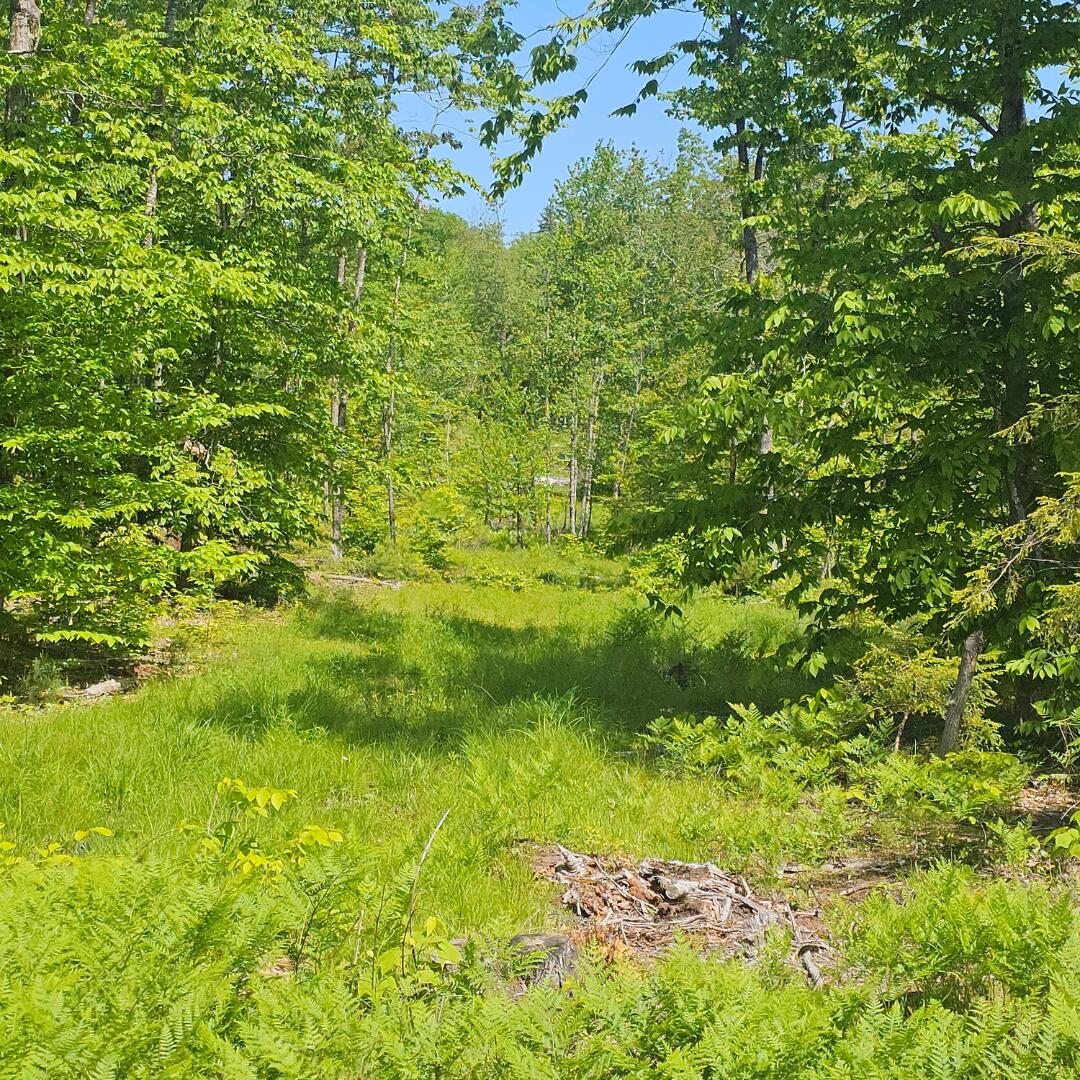 18 A Isaac Stevens Road Bridgton, ME 04009 - Photo 5 of 9 North Rd