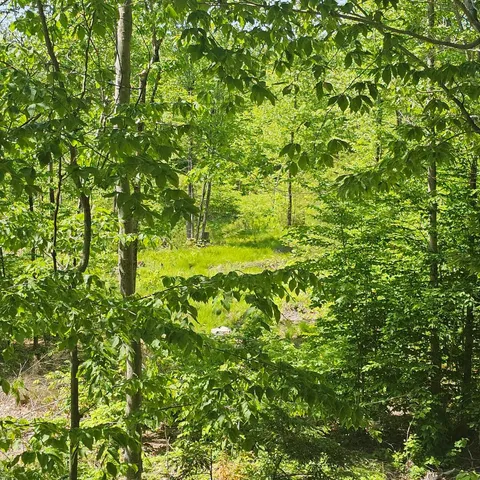 $159,000 | 18 A Isaac Stevens Road, Bridgton, ME 04009