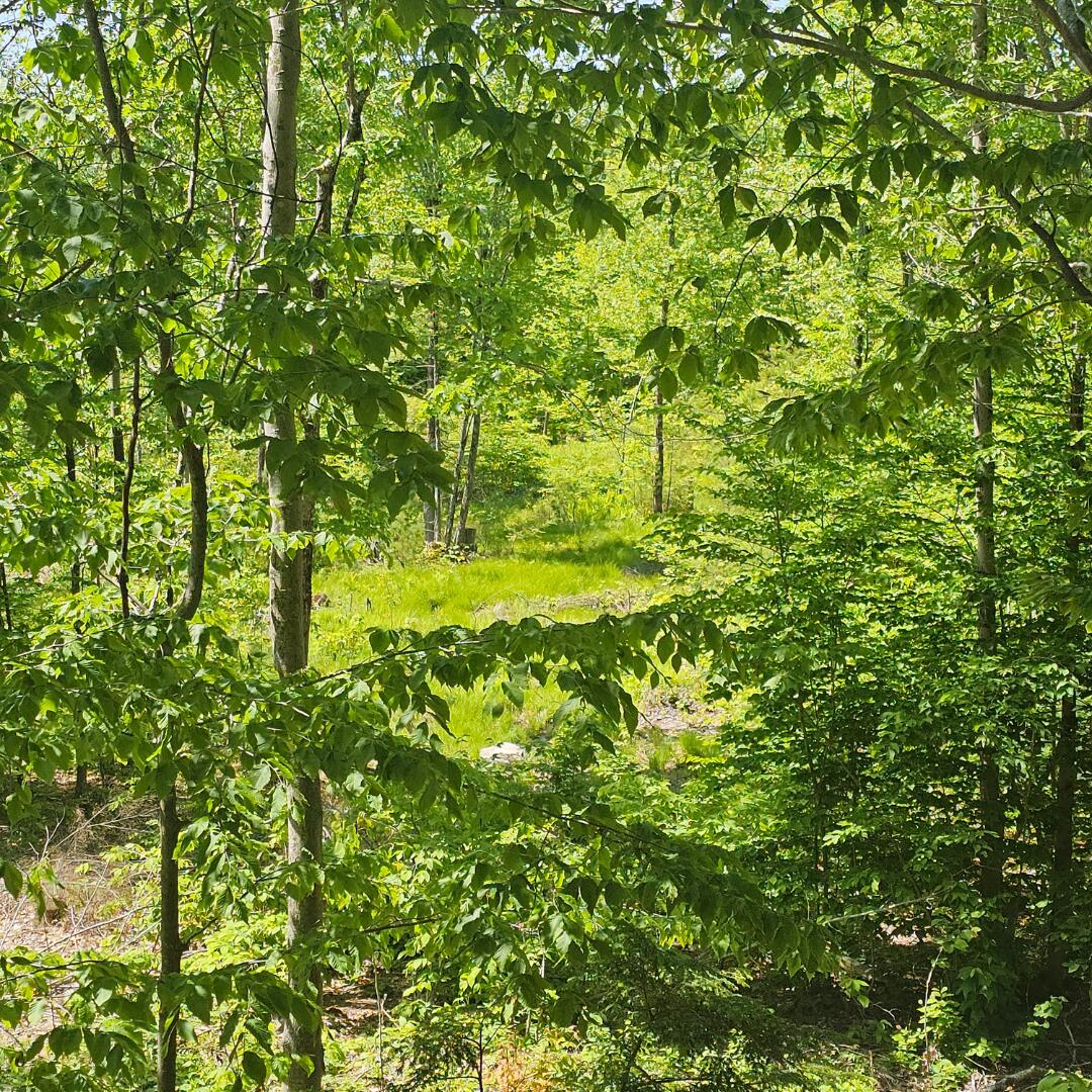 18 A Isaac Stevens Road Bridgton, ME 04009 - Photo 6 of 9 Turnaround