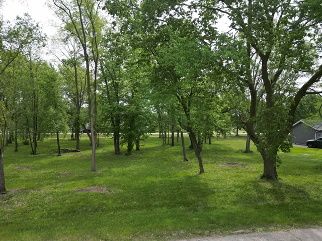 a green field with lots of trees