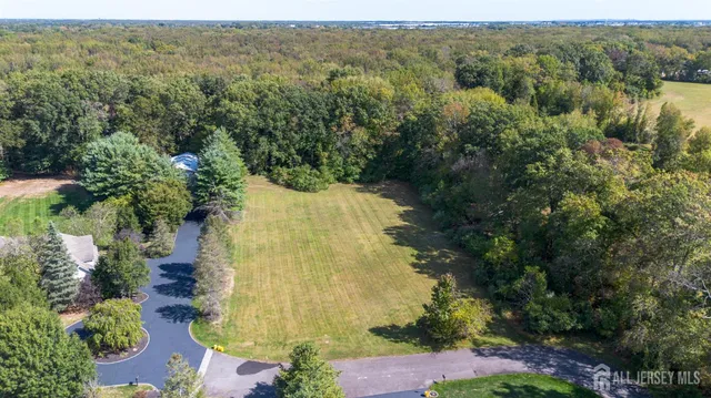 an aerial view of residential houses with outdoor space and trees all around