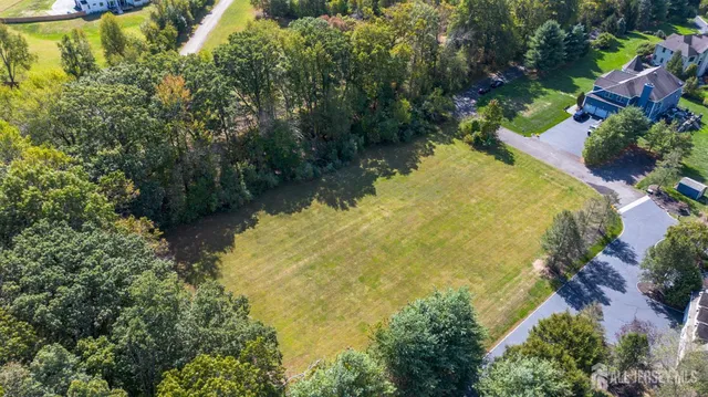 an aerial view of residential house with swimming pool and large trees