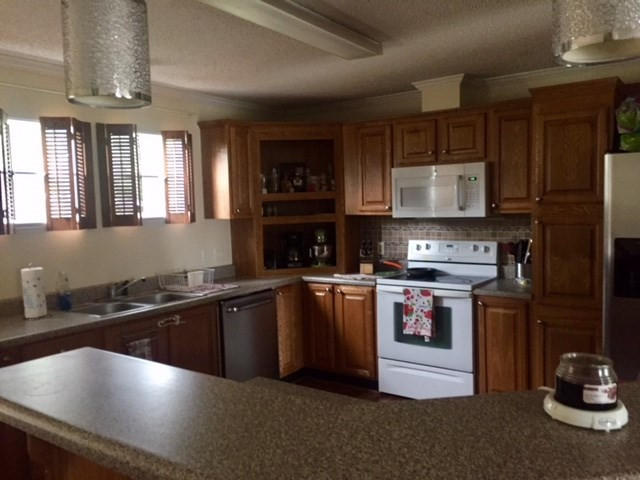 1705 Taylor Road Augusta, GA 30906 - Photo 9 of 20 Kitchen