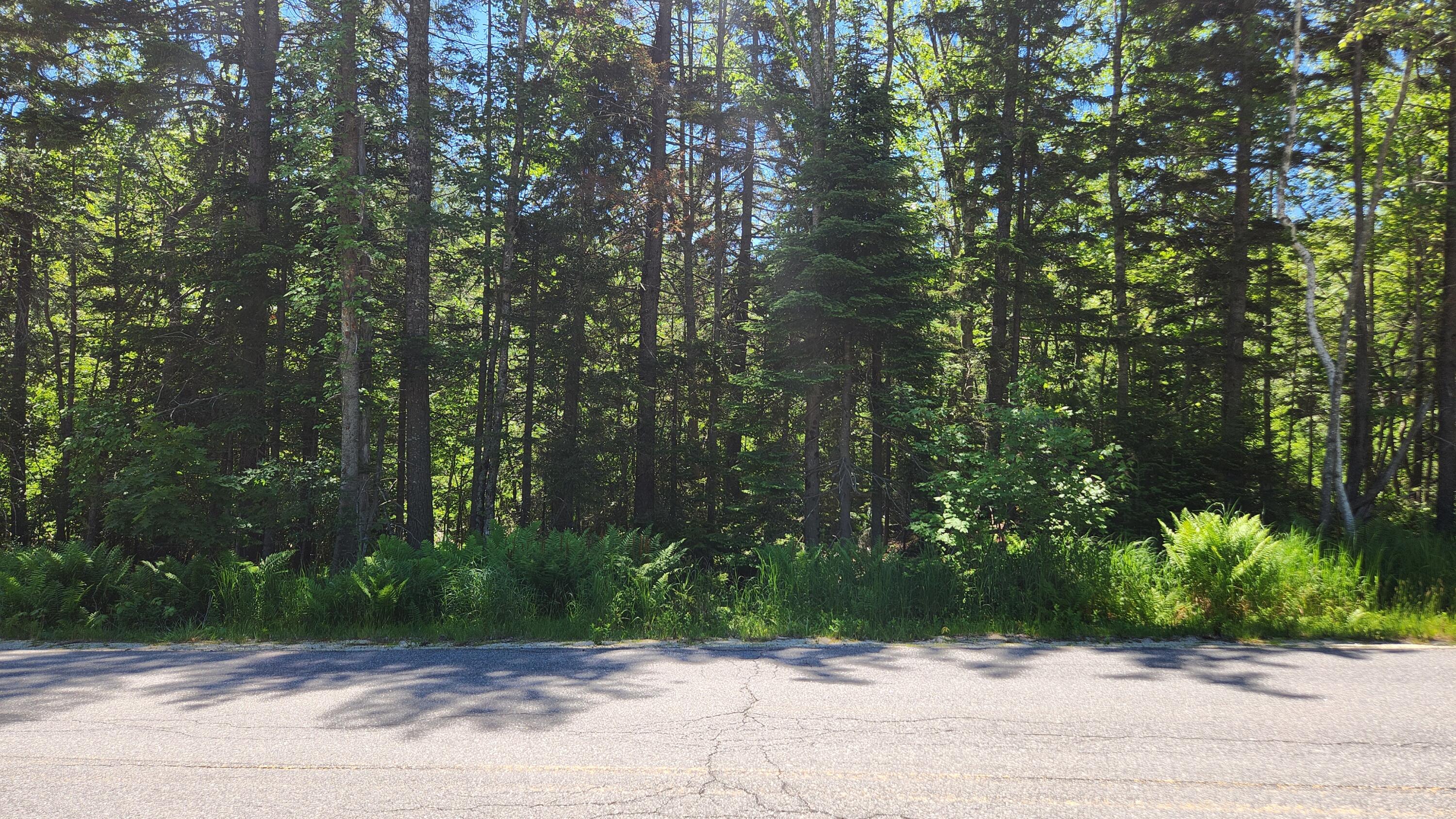 0 Sebasco Road Phippsburg, ME 04562 - Photo 7 of 19