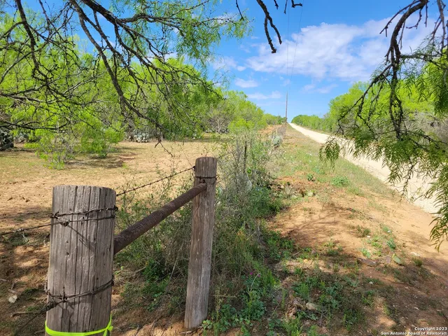 a view of a yard and an outdoor space