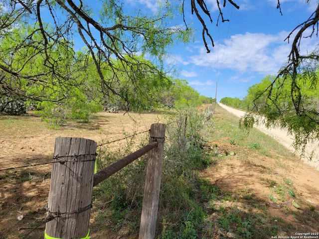 a plant that is in front of a building
