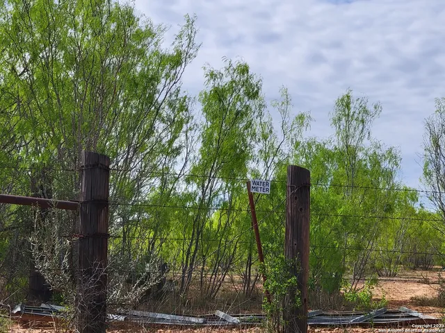 a view of a field with plants and trees