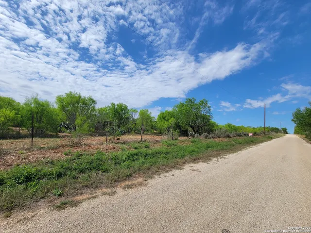 a view of outdoor space with garden