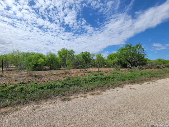 a view of a dry yard with trees