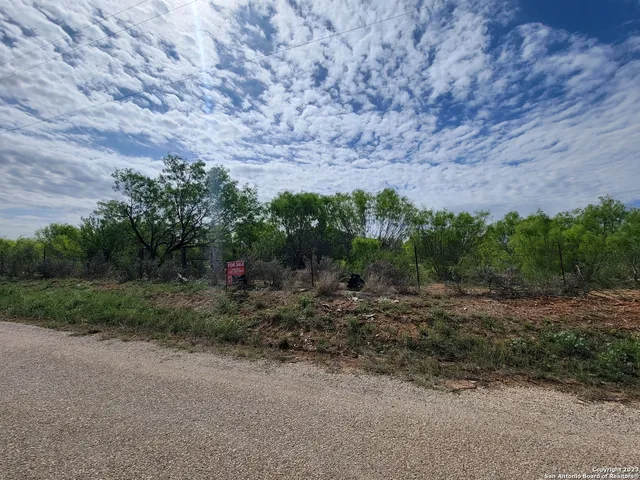 a view of a yard with a house in the background