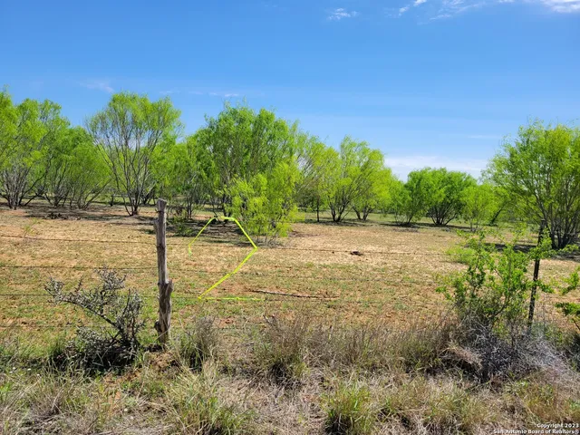 a view of a field with plants and trees