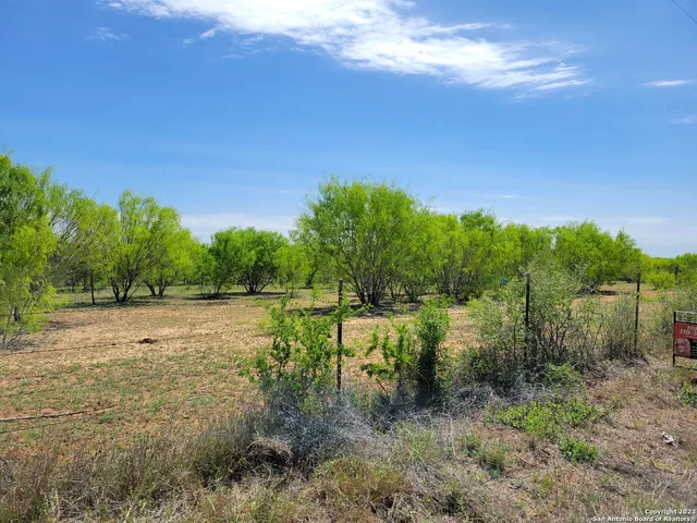a view of a yard with a tree
