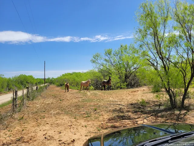 a view of a field with an trees