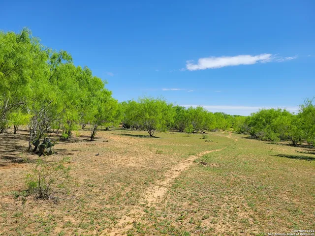 a view of backyard with green space