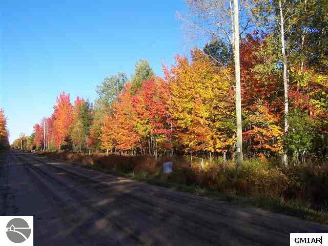 1400 South Coleman Road Shepherd, MI 48883 - Photo 2 of 9 1764716-1.JPG