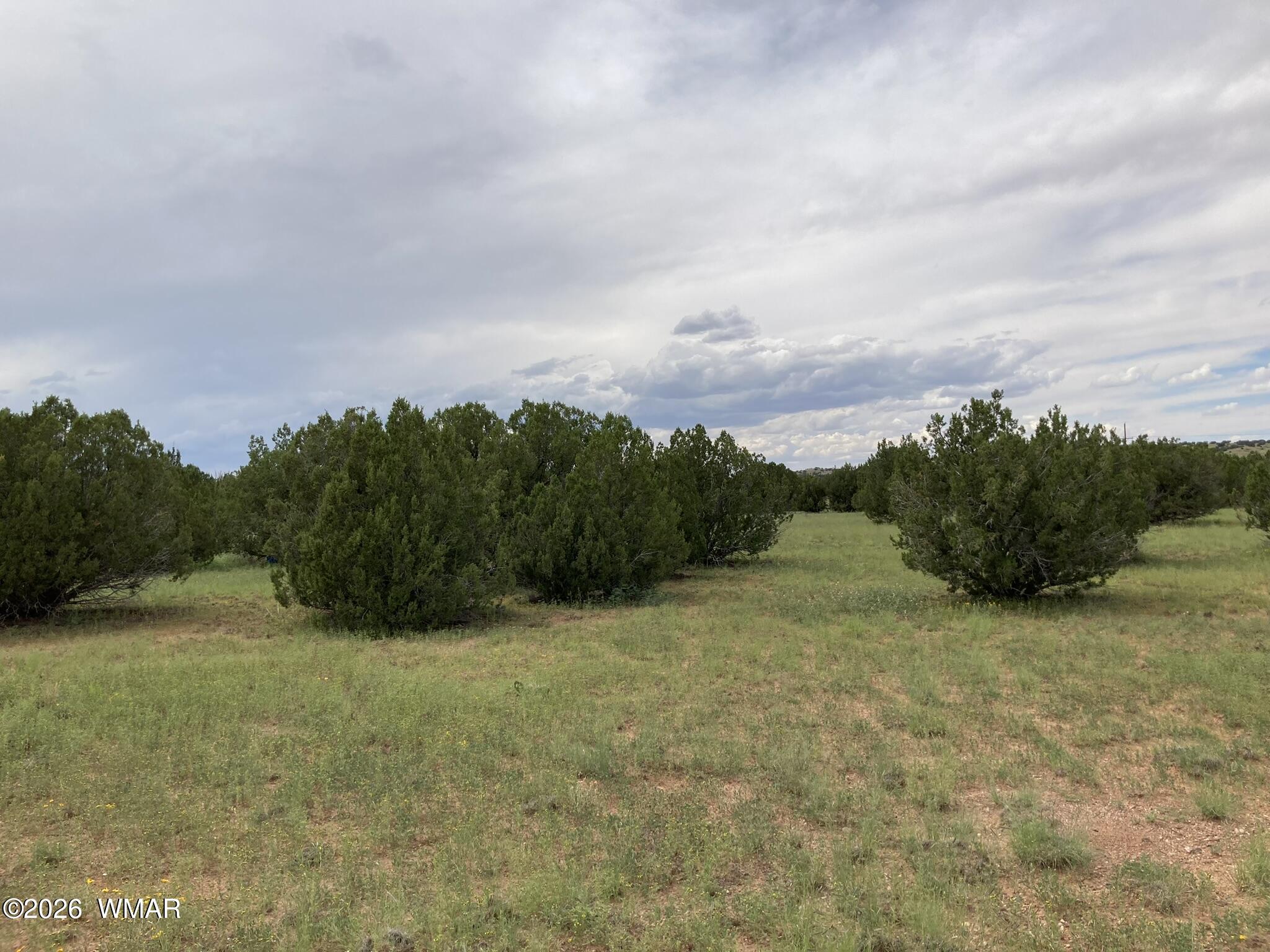 4979 Tharp Road Snowflake, AZ 85937 - Photo 14 of 19