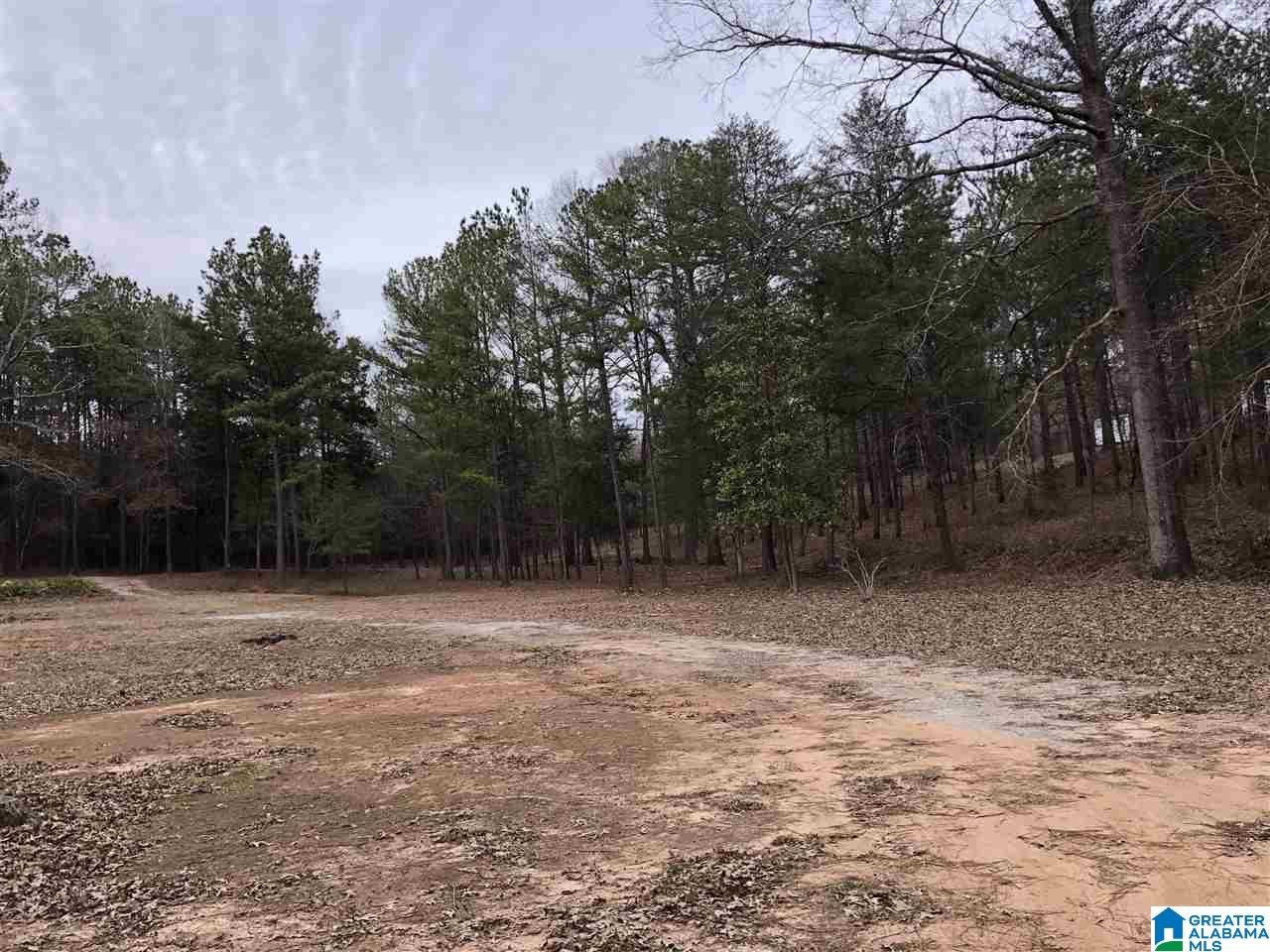 583 Race Track Road Centreville, AL 35042 - Photo 2 of 7