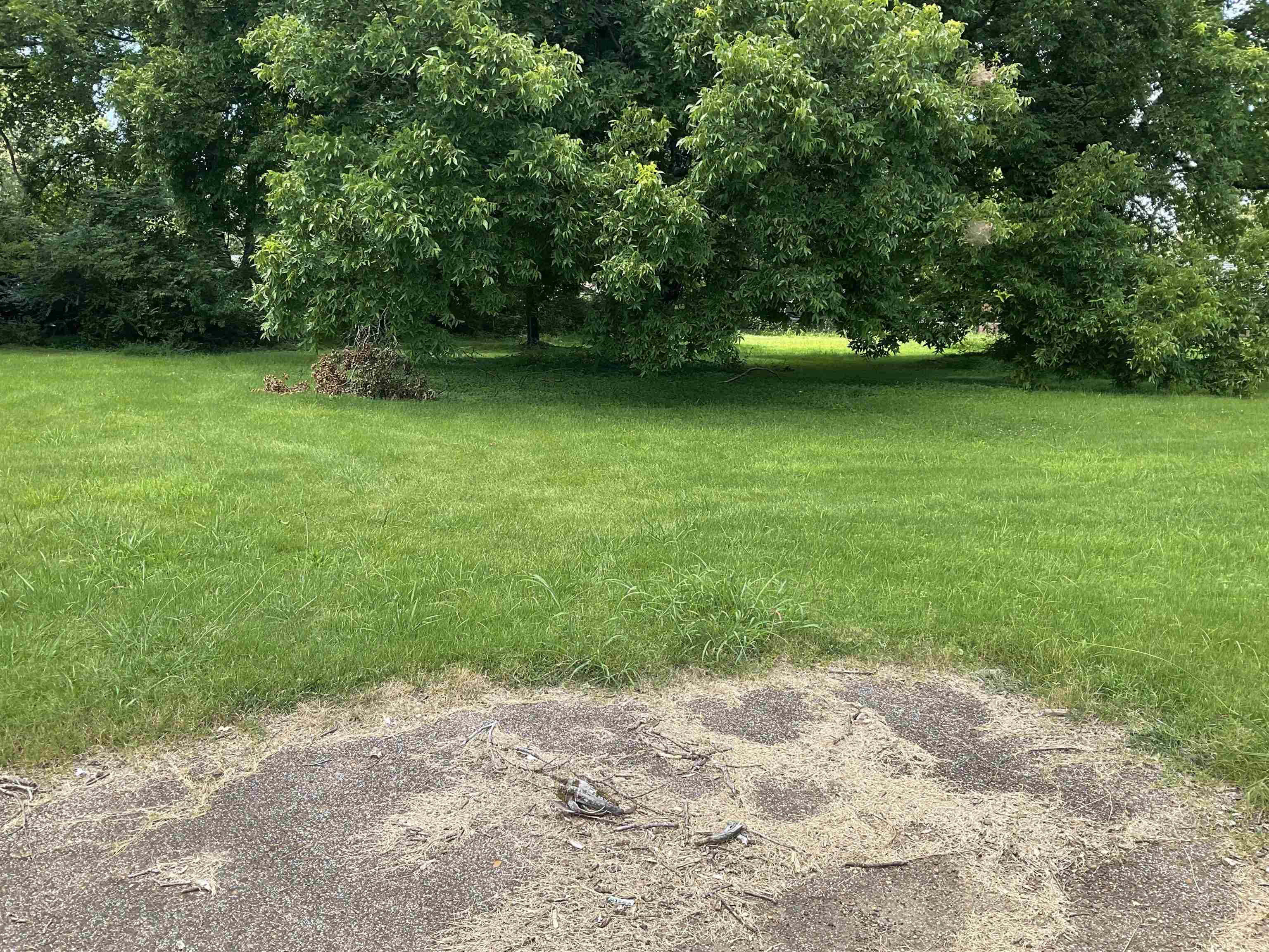 487 Highway 72 Collierville, TN 38017 - Photo 3 of 4 a view of a green yard