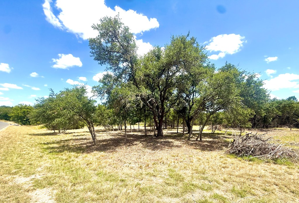 119 Broken Spur Road Mountain Home, TX 78058 - Photo 10 of 14