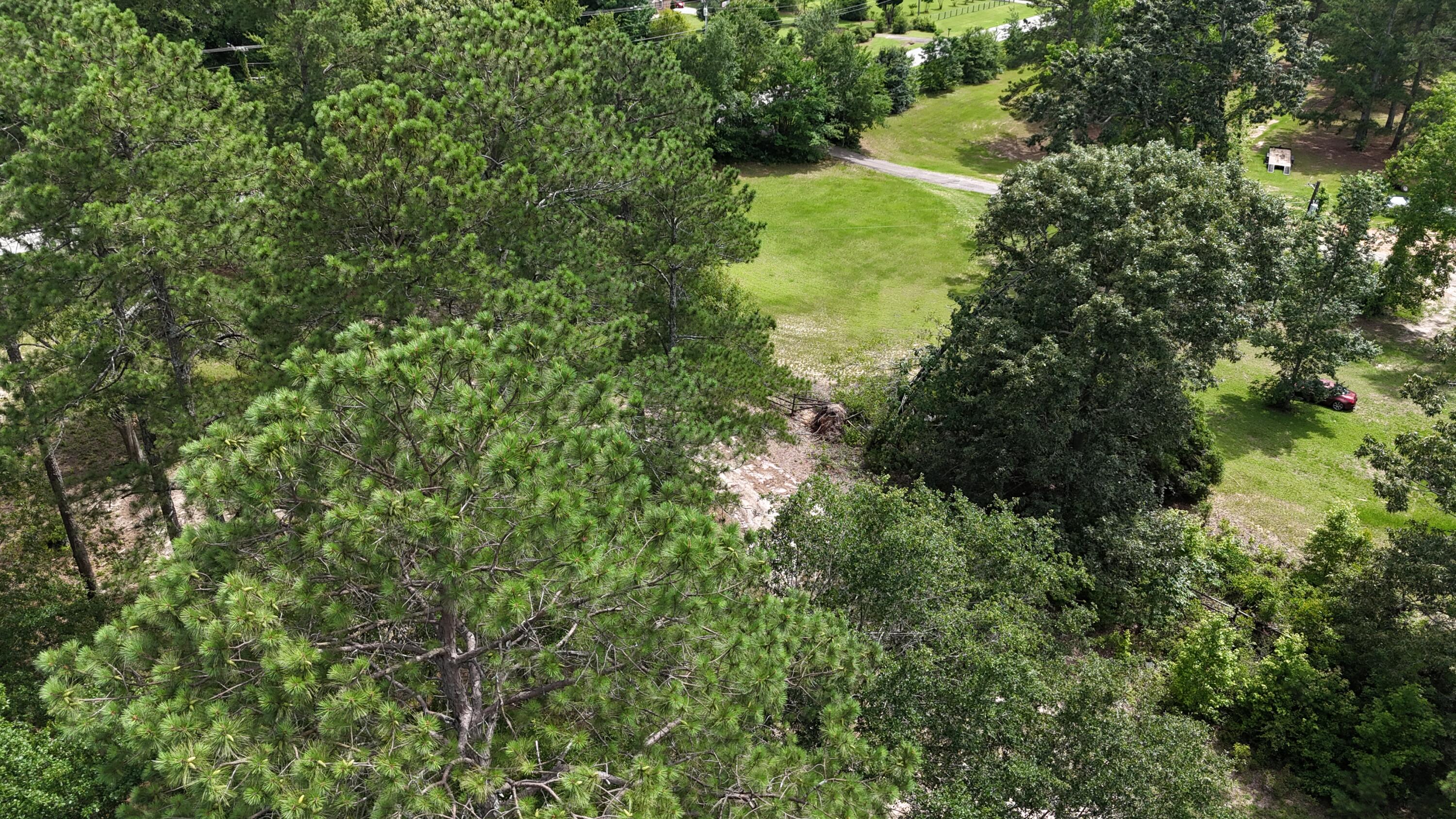 2039 McDade Road Hephzibah, GA 30815 - Photo 9 of 20 DJI_20250608133320_0065_D