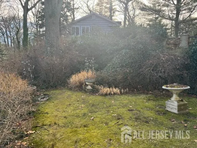 a view of a yard with a tree