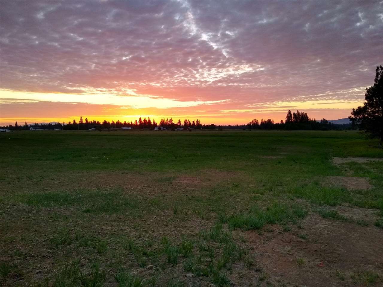 6715 South Mabel Road Cheney, WA 99004 - Photo 18 of 20
